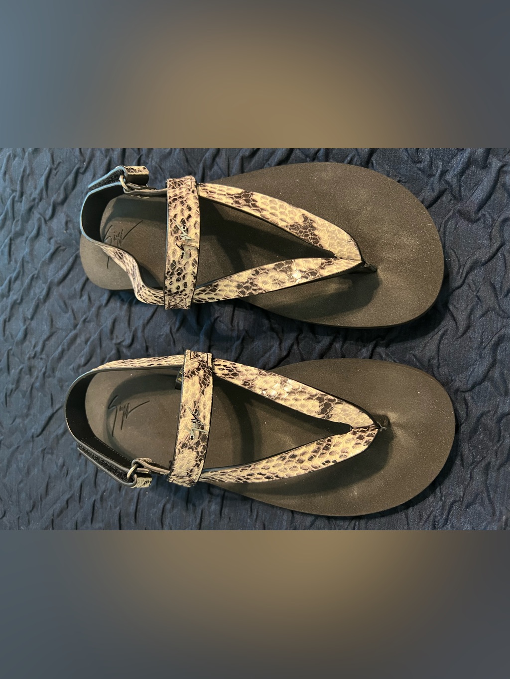 Giuseppe Zanotti